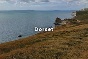 Dorset