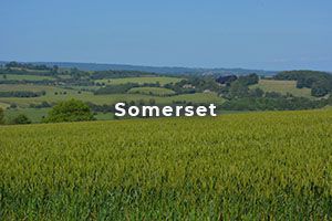 Somerset